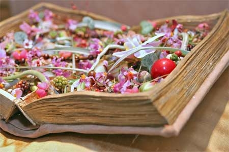 Blumenbuch