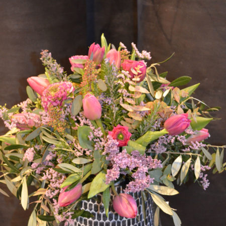 Rosa Frühlingstraum (4)
