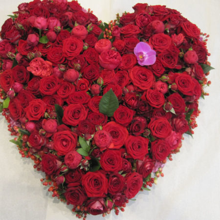 Rosen Herz (1)