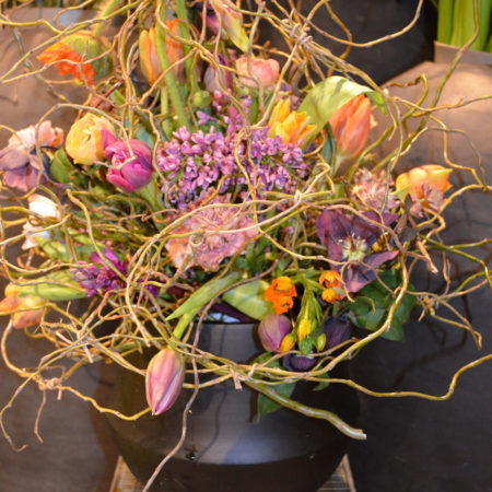 bunter Frühling (3)