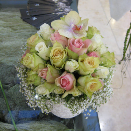 creme-rosa Rosen