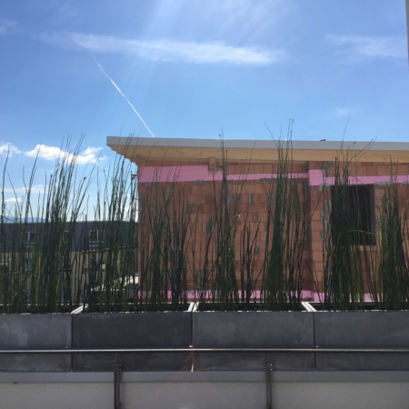 gartengestaltung