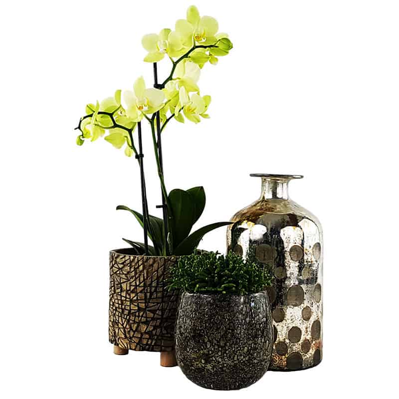 Jetzt-neu-Onlineshop-Blumengalerie-Knorr-Gefaesse