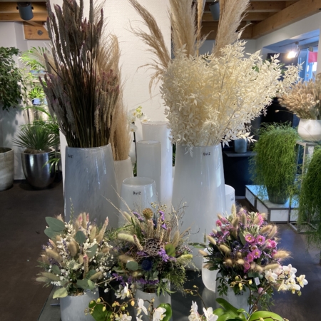 Trocken Blumen