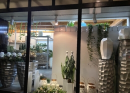 Seiten Schaufenster