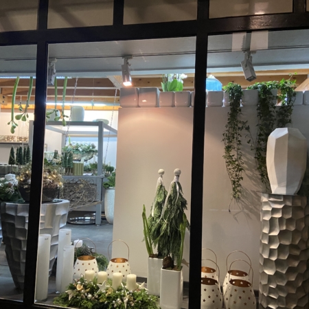 Seiten Schaufenster