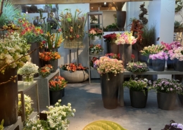 Unser Blumen Sortiment