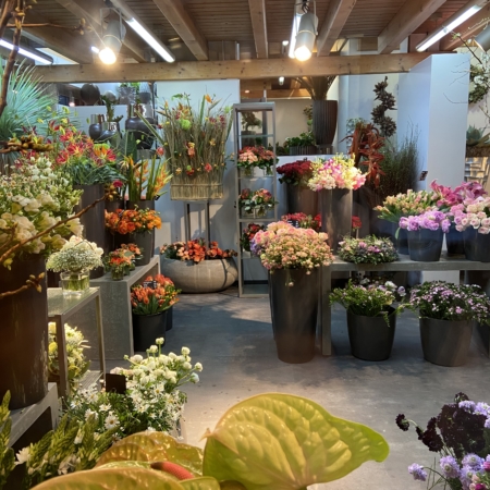 Unser Blumen Sortiment