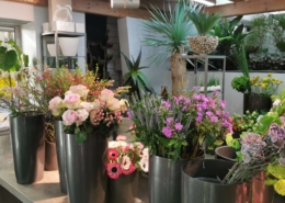 Besondere Blumen
