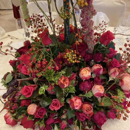 Freiland Rosen