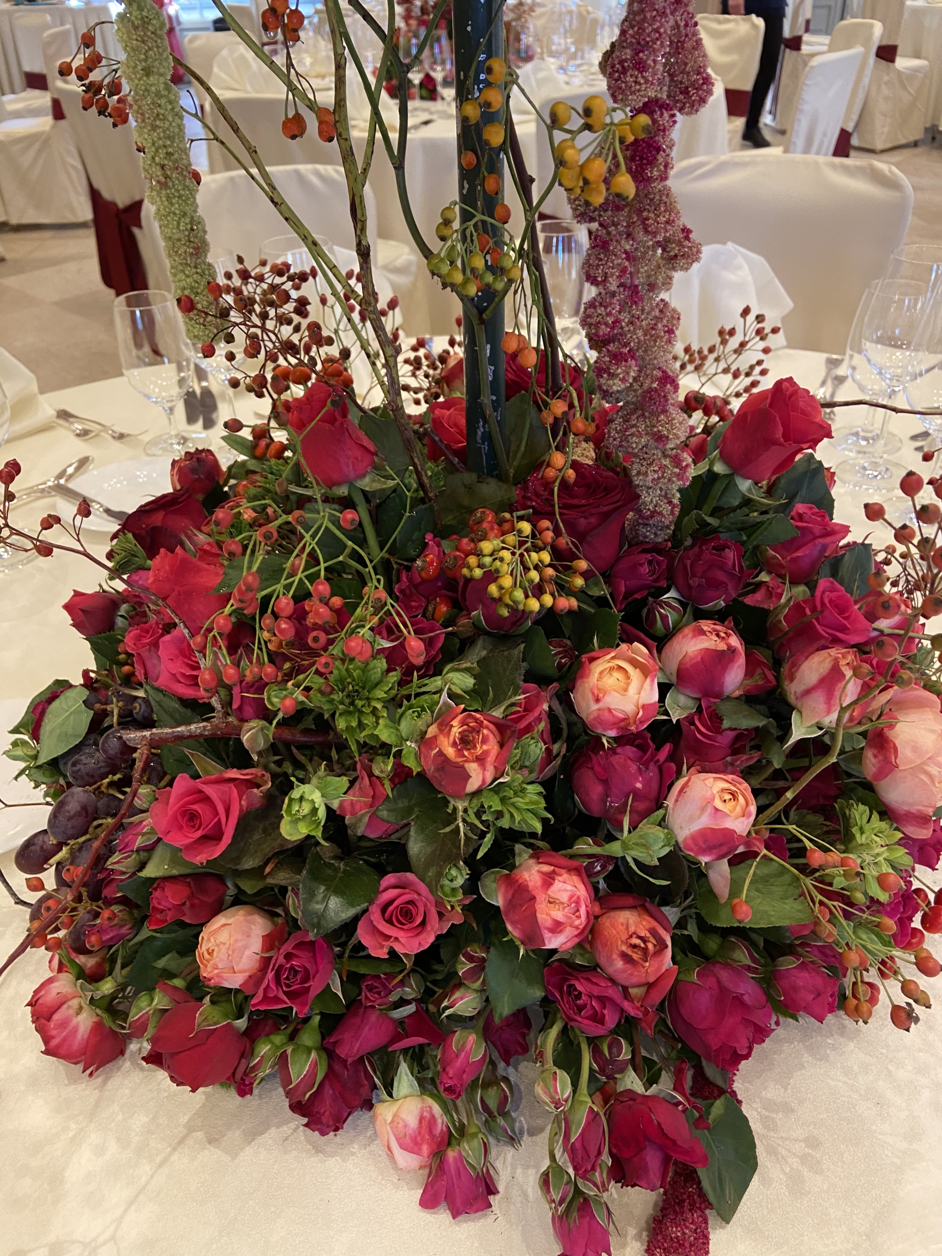 Freiland Rosen