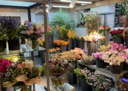 Schnittblumen