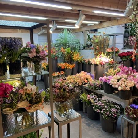 Schnittblumen