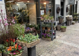Frühling