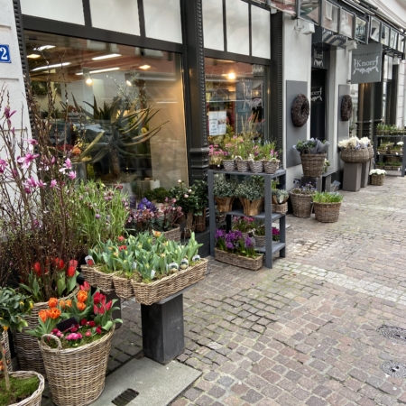 Frühling