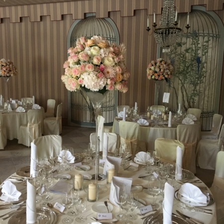 Champagner Rose Rosen