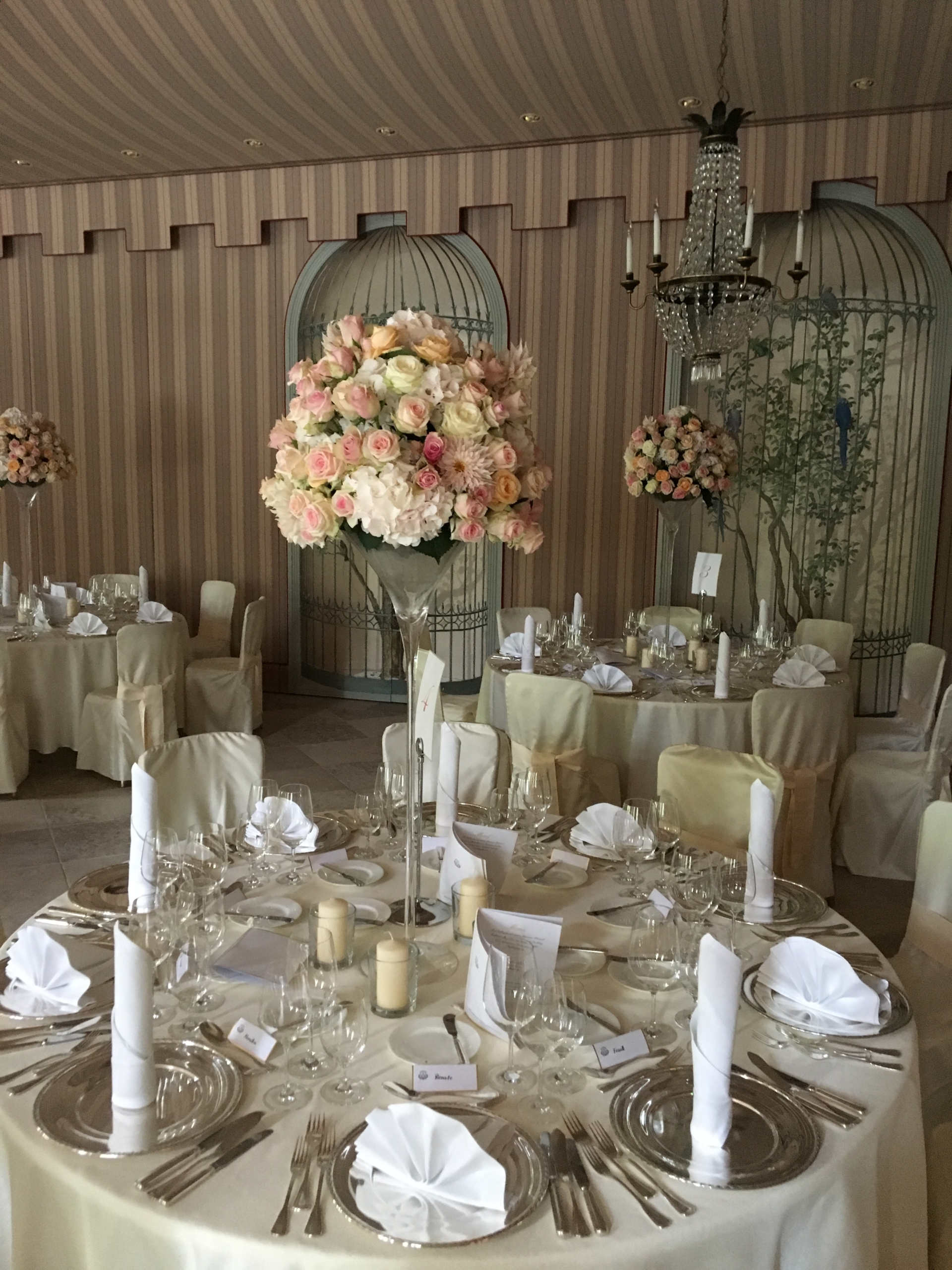 Champagner Rose Rosen